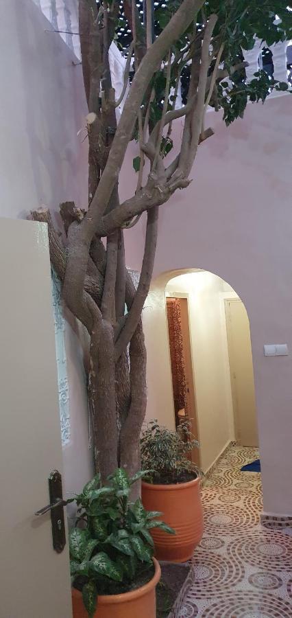 Surf Riad Taghazout Bagian luar foto
